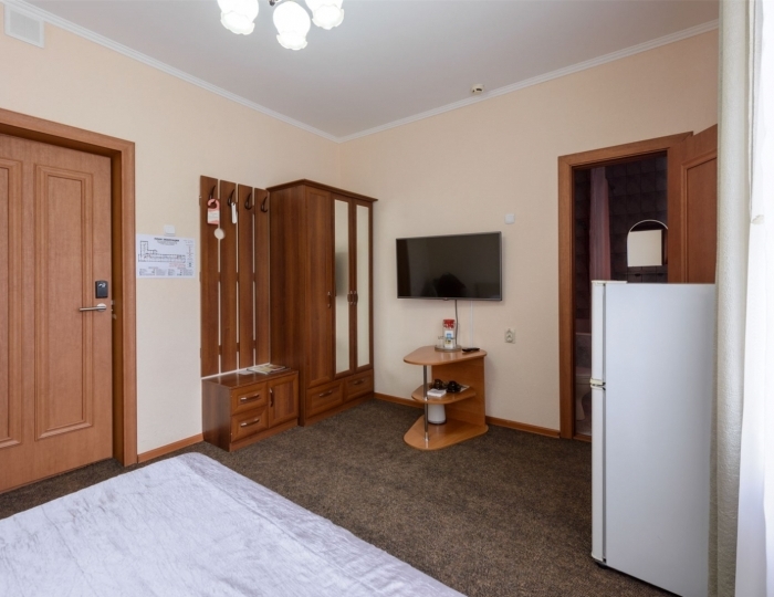 Стандарт 1-местный - Санаторий «Центросоюз» Белокуриха